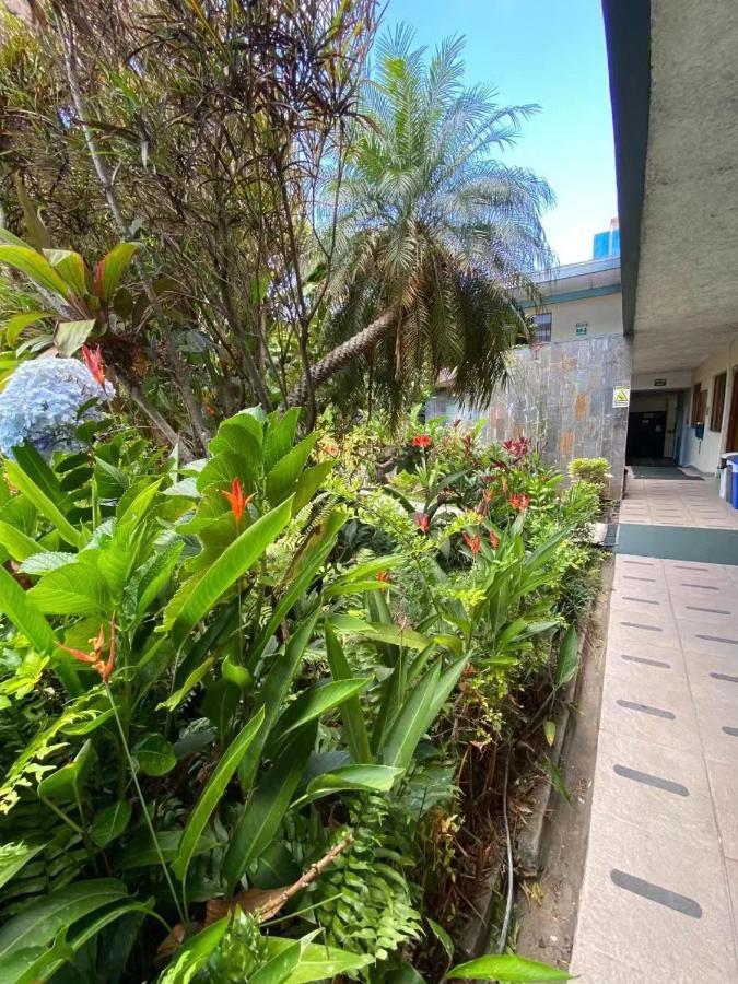 Hotel Ecological Inn San José Esterno foto
